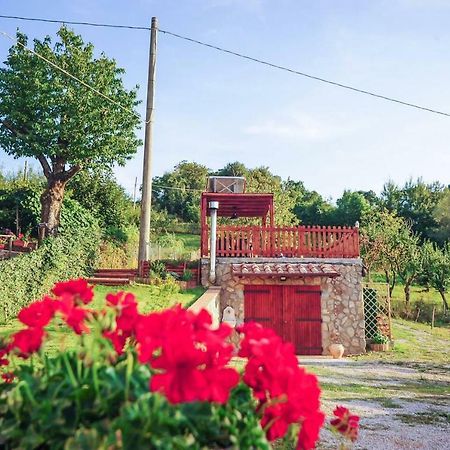 La Finestra Sul Castello Appartement Arcidosso Buitenkant foto